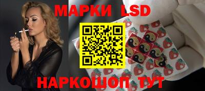 твердый Будённовск