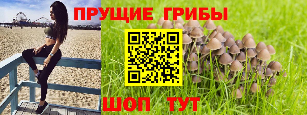 A-PVP Мытищи