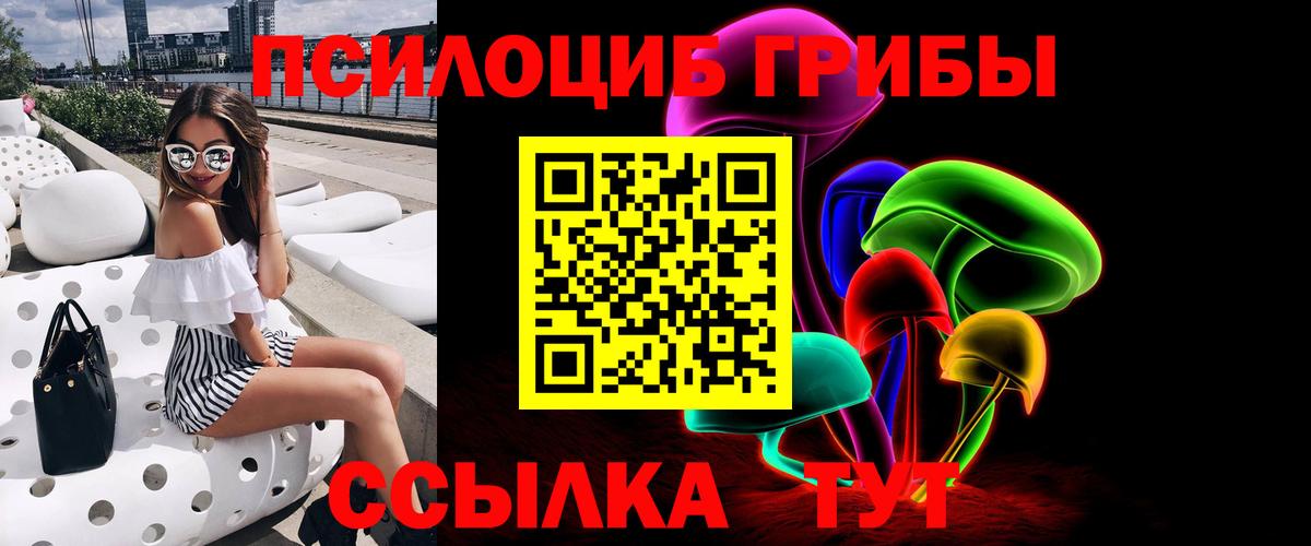 Галлюциногенные грибы мухоморы  где продают наркотики  Мытищи  Вход с VPN 